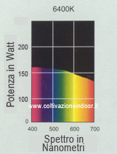 lampada fluorescente compatta