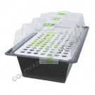 propagatore nutriculture