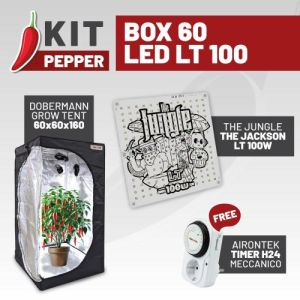 KIT PEPPER - BOX 60 - LED LT 100