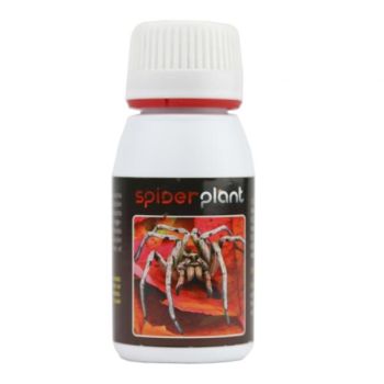 Spider Plant 15ml