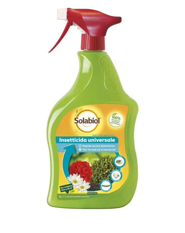 Solabiol Insetticida Spray 1L