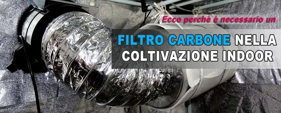 Filtri ai carboni attivi per eliminare odori grow box e coltivazione indoor