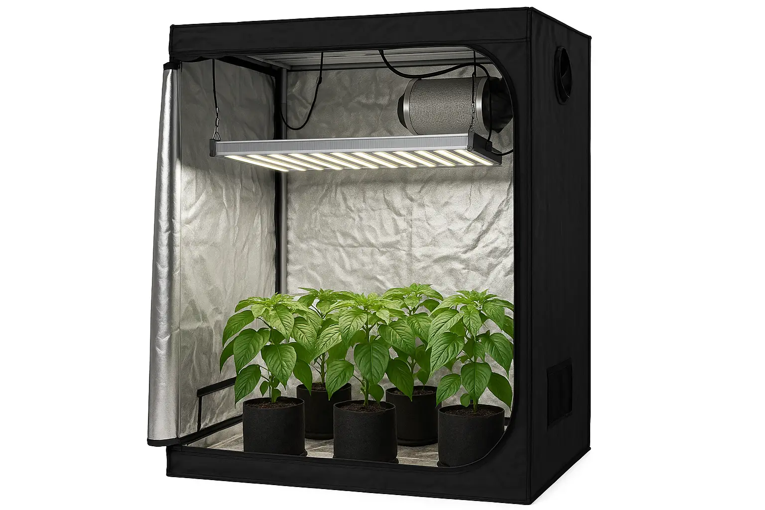 Grow box Dobermann con lampada LED accesa e piante in crescita
