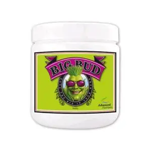 ADVANCED NUTRIENTS - BIG BUD POWDER IN POLVERE - 2.5KG