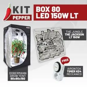 KIT PEPPER - BOX 80 - LED LT 150