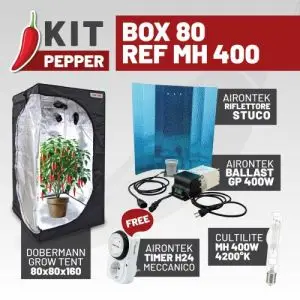 KIT PEPPER - BOX 80 - REF MH 400