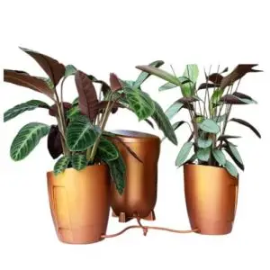 AUTOPOT - KHLORIS VASO IDROPONICO COMPLETO - RAME