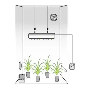 Grow Box Allestita LED  ORION 260w + OMAGGIO! - Risparmio Energetico e Alta Resa