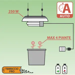 Kit Coltivazione Autofiorenti CFL 250W PRO - Max 3 piante