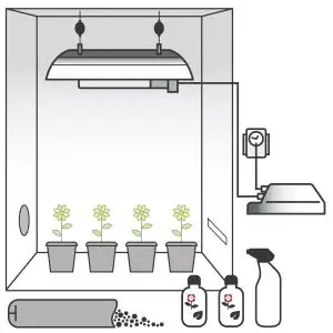 Kit Coltivazione Terra 250W con Grow Box + OMAGGIO! (Max. 4 piante)