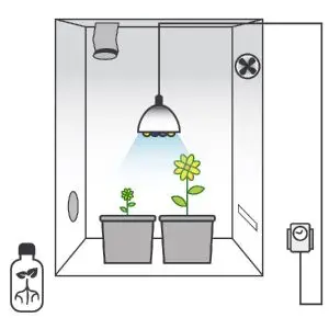 Mini Grow Kit per Piante Madri e Talee + Luce Led Booster Crescita