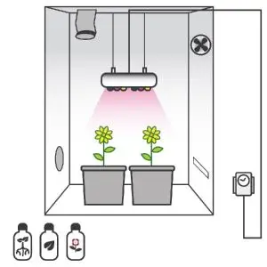 Grow Kit LED AGRO 75w - 40x40x120cm -  Allestita ad Alta Resa!