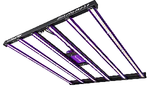 Led ZEUS 600w PRO 2.9 - Lumatek 