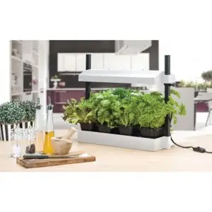 Grow Light Garden 11w - Mini Orto Indoor