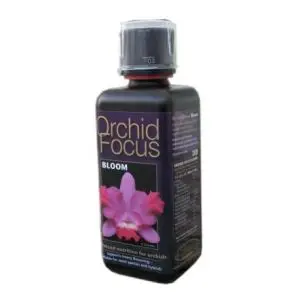 Orchid Focus Bloom 300 ml - Orchidee Fioritura