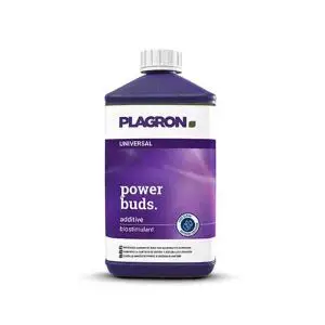 Plagron Power Buds