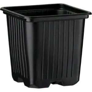 Vaso Quadro 8X8X8CM - 0,35L per Germinazione