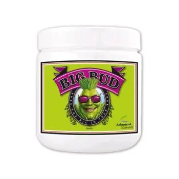 ADVANCED NUTRIENTS - BIG BUD POWDER IN POLVERE - 2.5KG