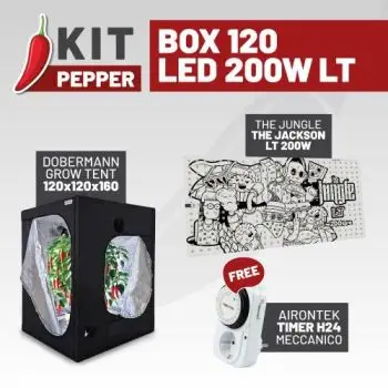 KIT PEPPER - BOX 120 - LED LT 200