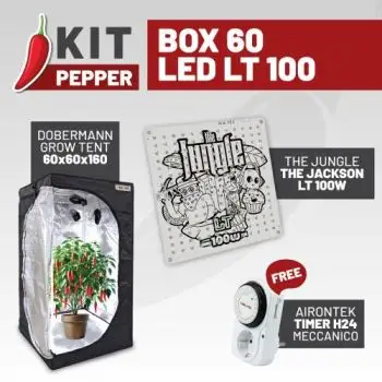 KIT PEPPER - BOX 60 - LED LT 100