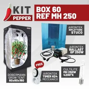 KIT PEPPER - BOX 60 - REF MH 250