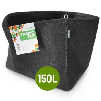 GRONEST - VASO IN TESSUTO - CLASSIC - 350G/M2 - 150L