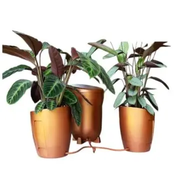 AUTOPOT - KHLORIS VASO IDROPONICO COMPLETO - RAME