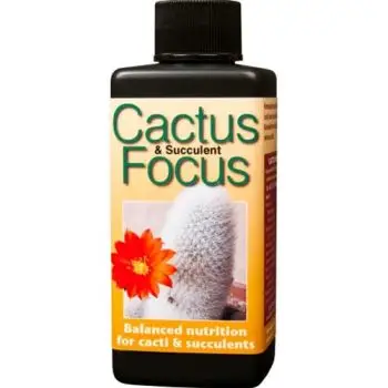 GROWTH TECHNOLOGY - CACTUS FOCUS 300 ML 