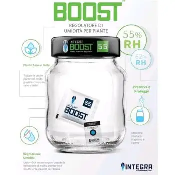 INTEGRA BOOST - DISPLAY 200 BUSTINE - 4 GR - RH 55%