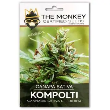 THE MONKEY - KOMPOLTI - CANAPA SATIVA CERTIFICATA ENSE - 200 SEMI