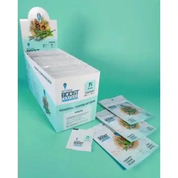INTEGRA BOOST TERPENE - 12 PZ SFUSI - PINENE - 4 GR - RH 62%