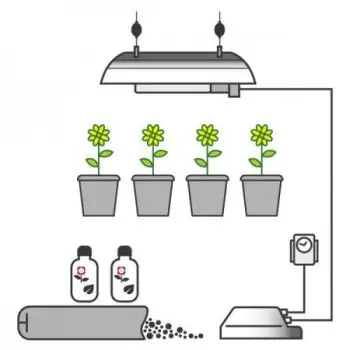Kit per Semi Autofiorenti 250W - Max. 4 piante +  OMAGGIO