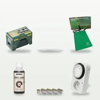 Kit per Talee e Propagazione - 12 talee