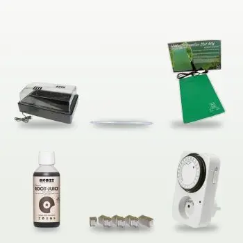 Kit per Talee e Propagazione - 24 talee