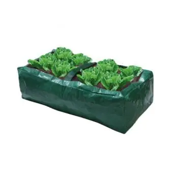 Borsa Coltiva Insalata