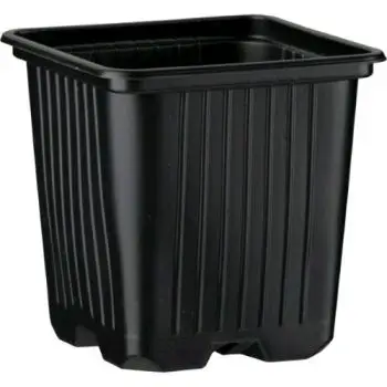 Vaso Quadro 8X8X8CM - 0,35L per Germinazione