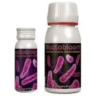 Agrobacterias - BactoBLOOM