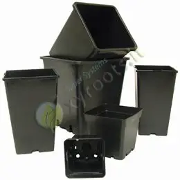 Vaso Quadro 6.5L
