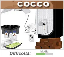 Kit coltivazione cocco Kit coltivazione cocco