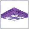 Led Cultilite 240w