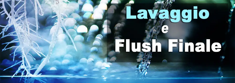 Lavaggio Flush Finale