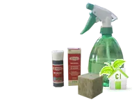 germinazione bio roots