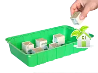 germinazione con miniserra germinazione con miniserra