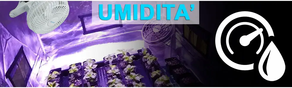 Umidità nella grow room