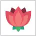 Fiori