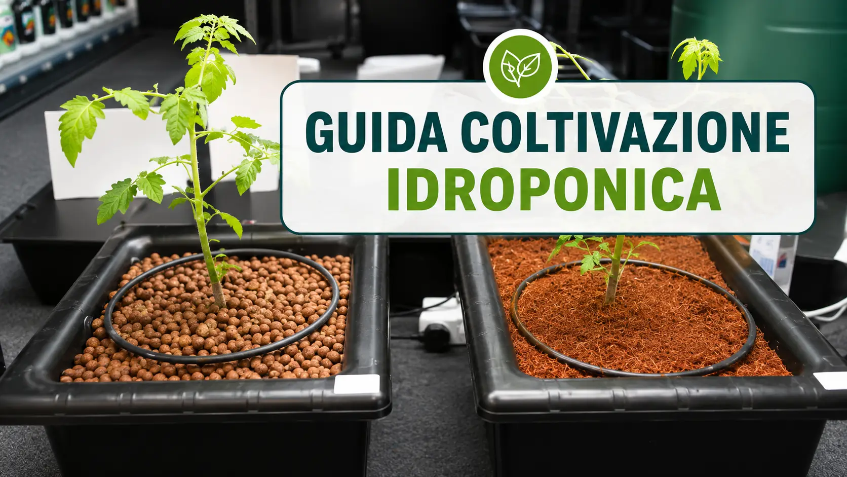 Idroponica guida