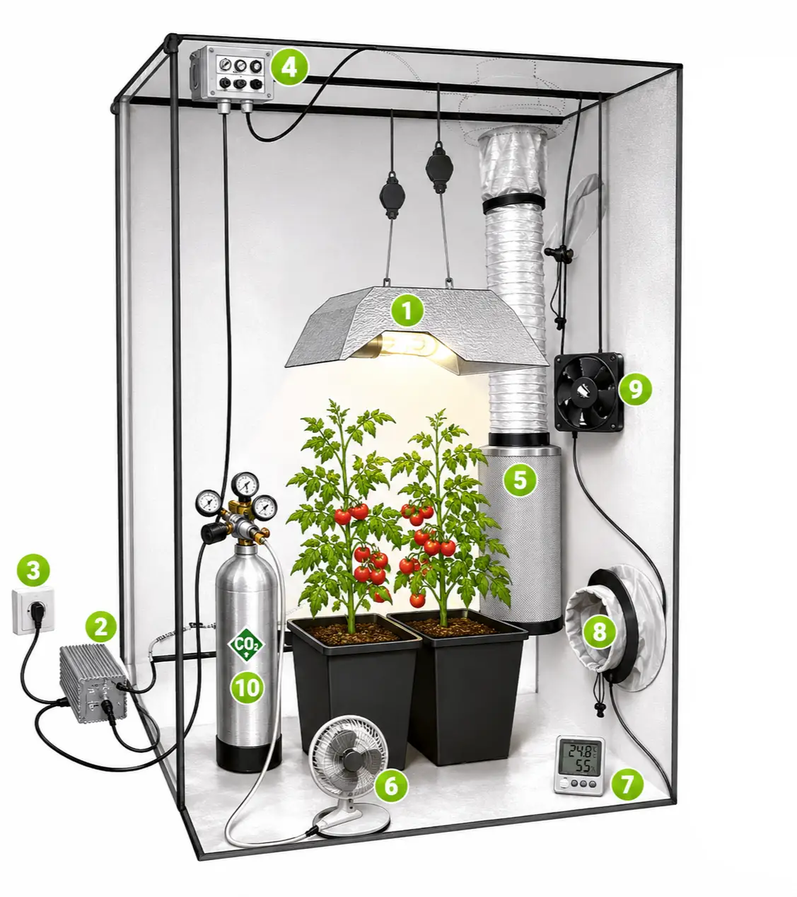 Allestimento Growbox