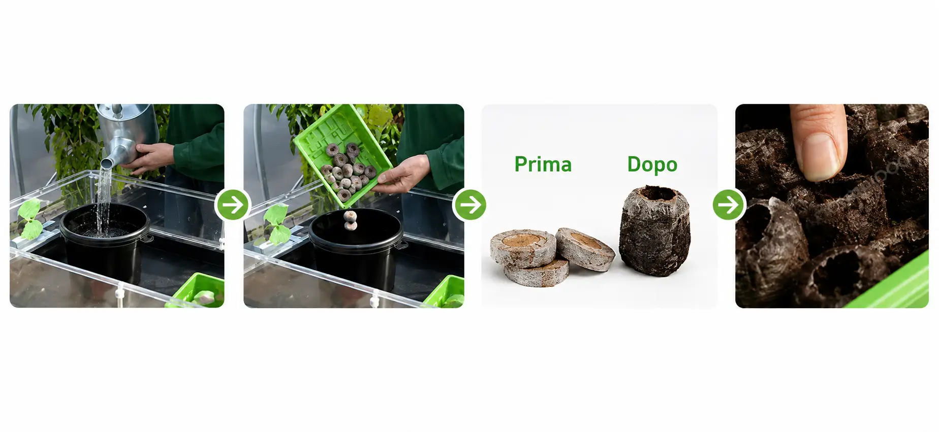 germinazione con jiffy