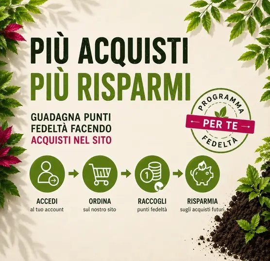 Programma Fedeltà