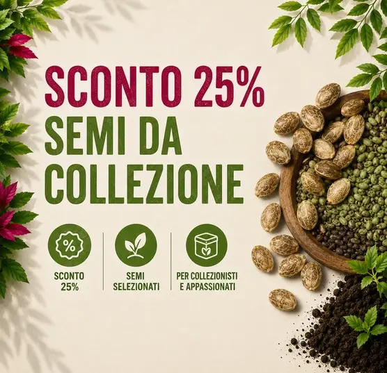 semi collezione scontati del 30%